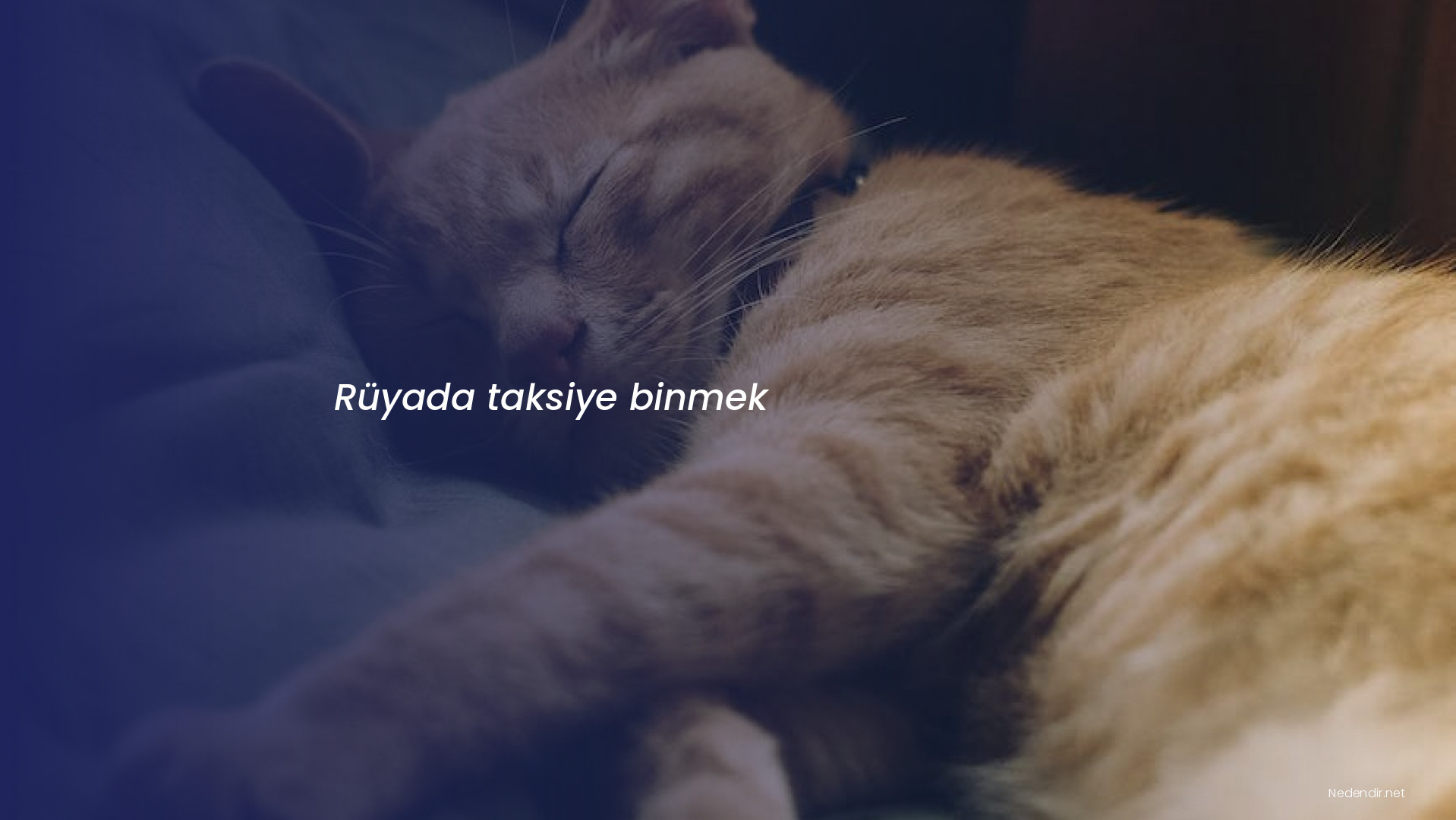 Rüyada taksiye binmek Rüyada taksiye binmek