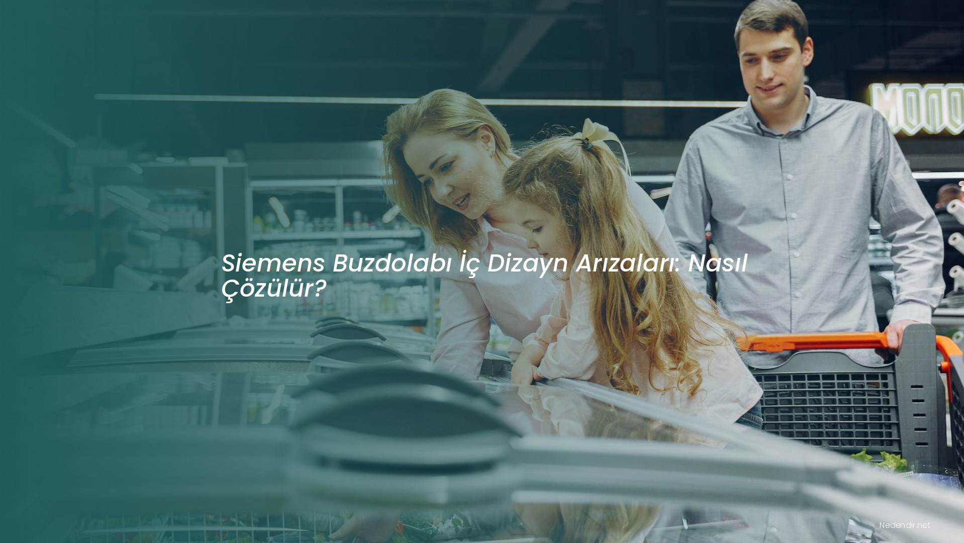 Siemens Buzdolabı İç Dizayn Arızaları: Nasıl Çözülür?