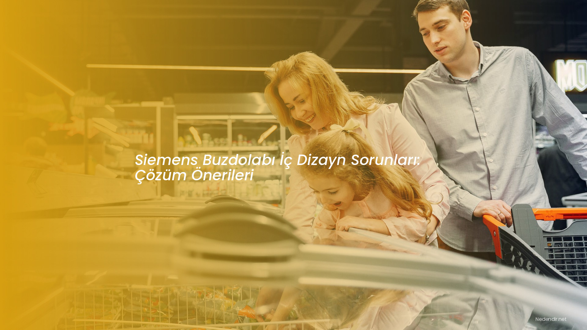 Siemens Buzdolabı İç Dizayn Sorunları: Çözüm Önerileri