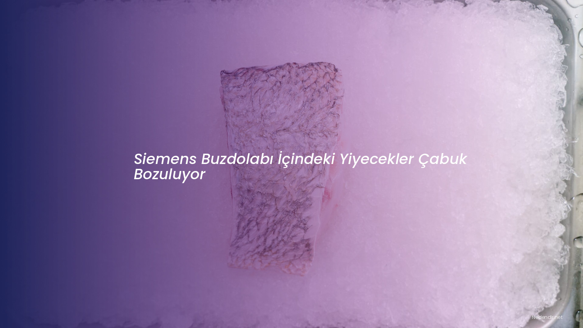 Siemens Buzdolabı İçindeki Yiyecekler Çabuk Bozuluyor