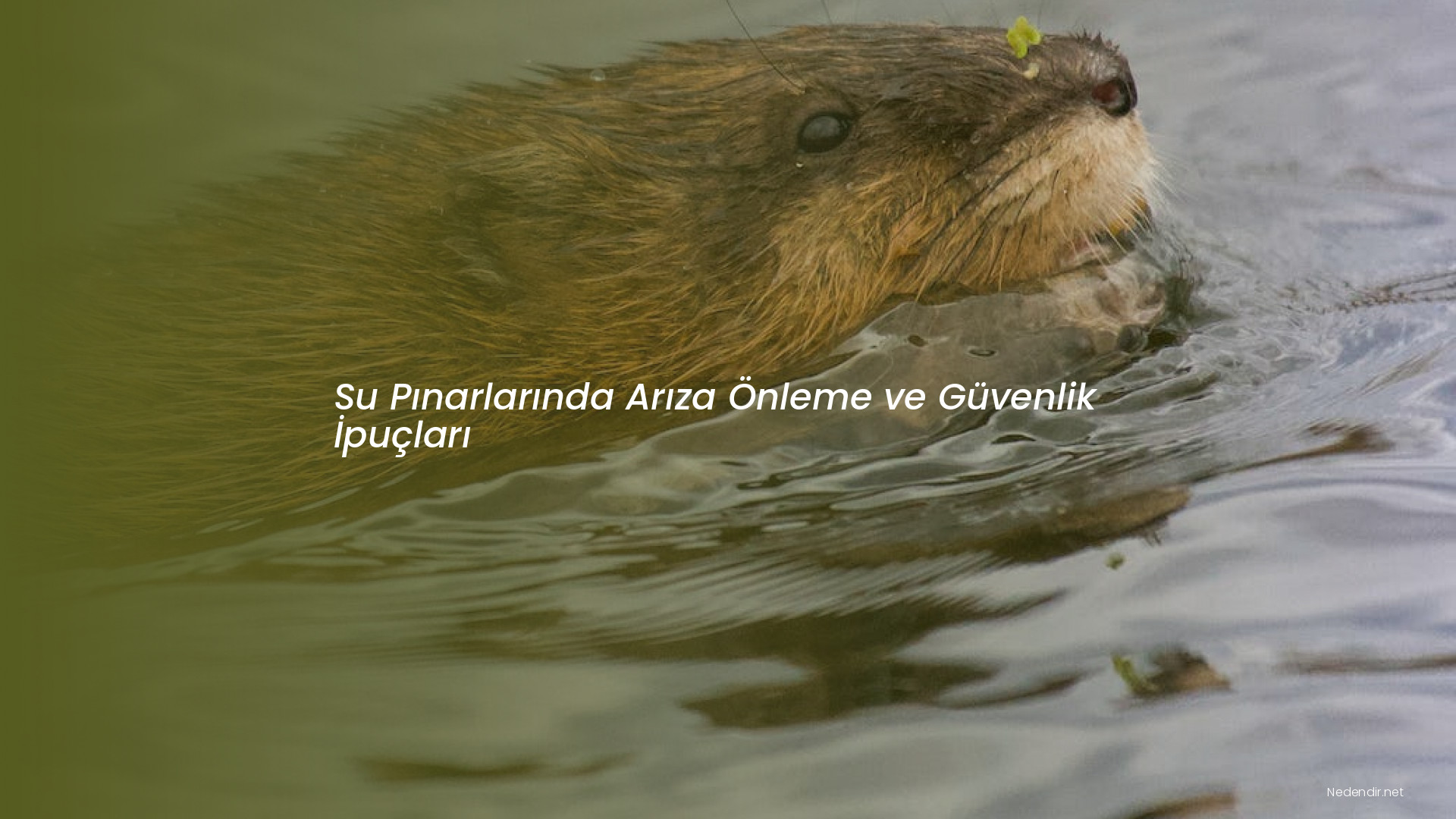 Su Pınarlarında Arıza Önleme ve Güvenlik İpuçları Su Pınarlarında Arıza Önleme ve Güvenlik İpuçları