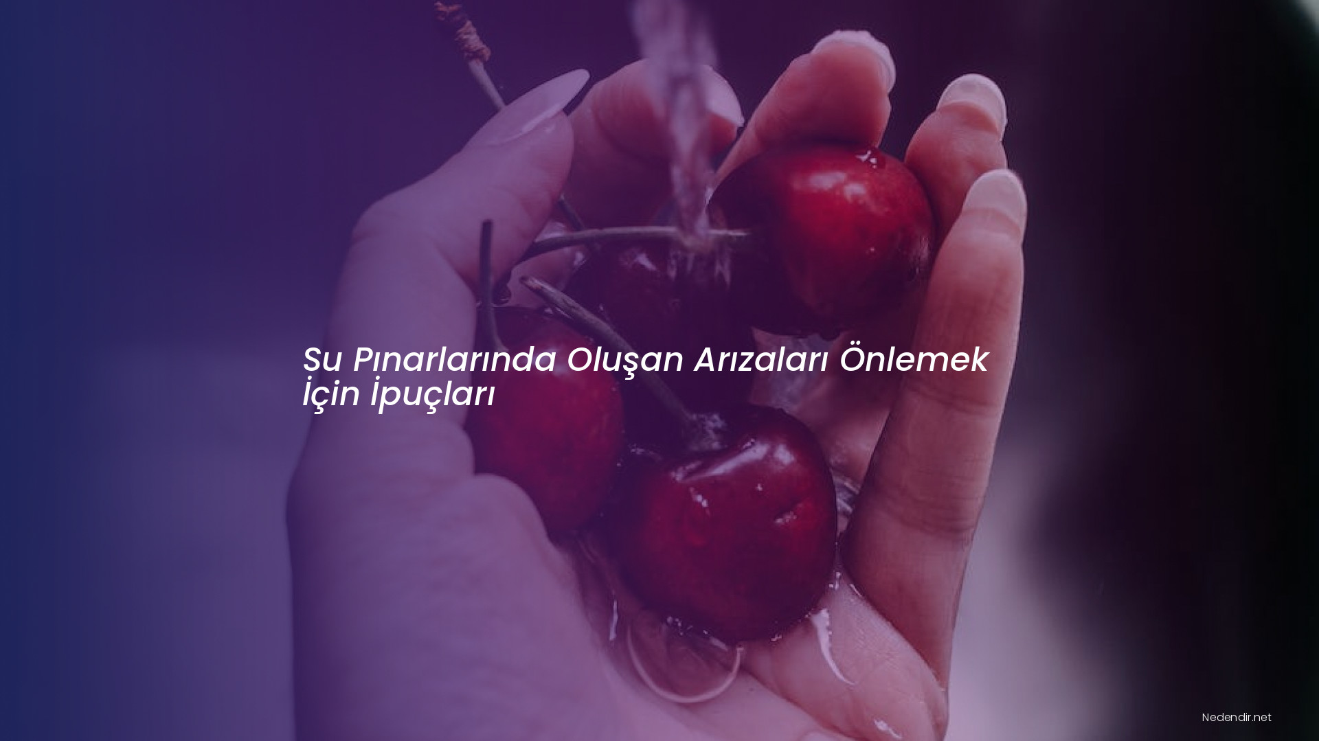 Su Pınarlarında Oluşan Arızaları Önlemek İçin İpuçları Su Pınarlarında Oluşan Arızaları Önlemek İçin İpuçları