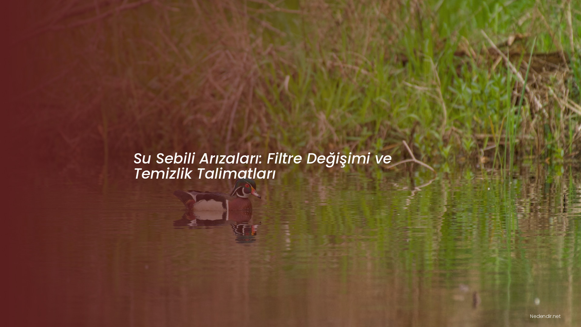 Su Sebili Arızaları: Filtre Değişimi ve Temizlik Talimatları