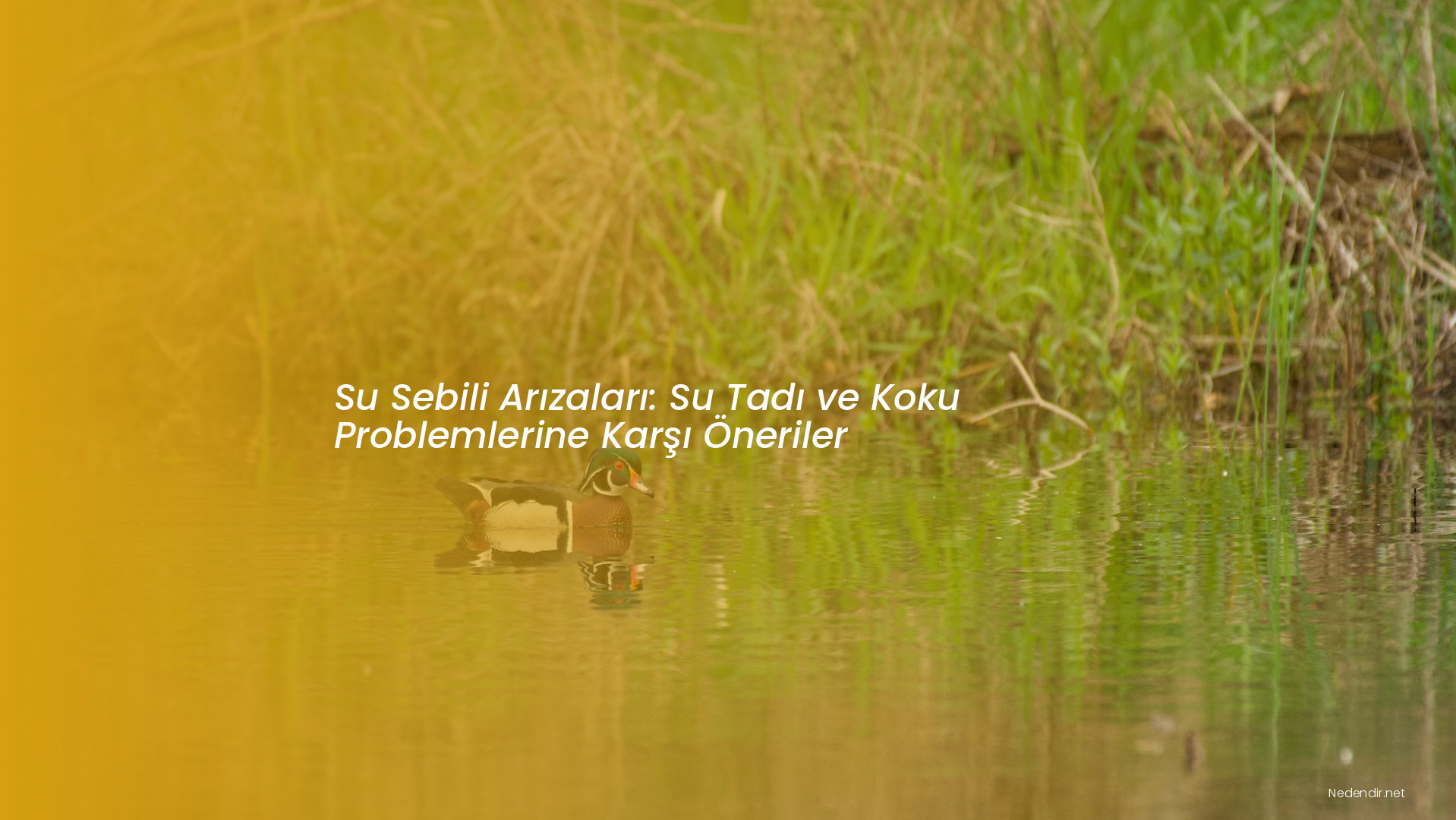 Su Sebili Arızaları: Su Tadı ve Koku Problemlerine Karşı Öneriler