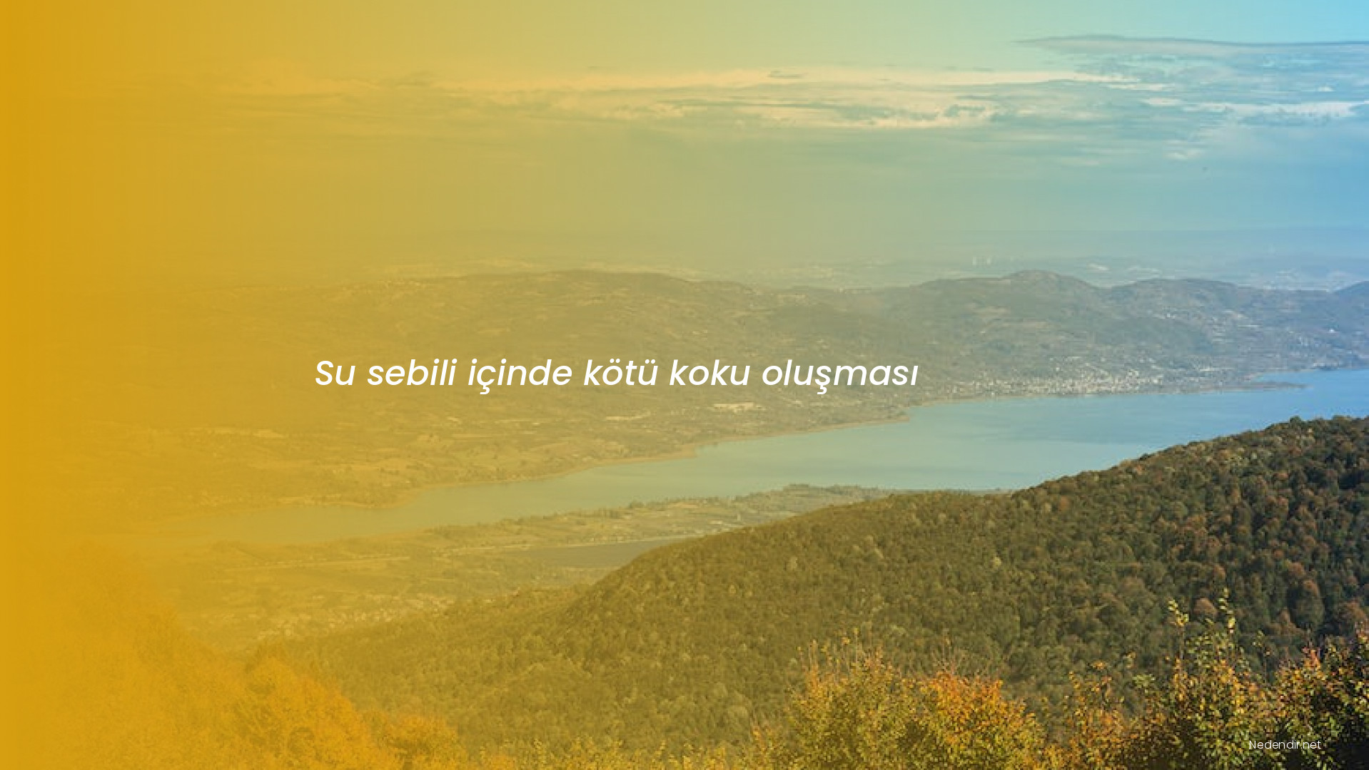 Su sebili içinde kötü koku oluşması