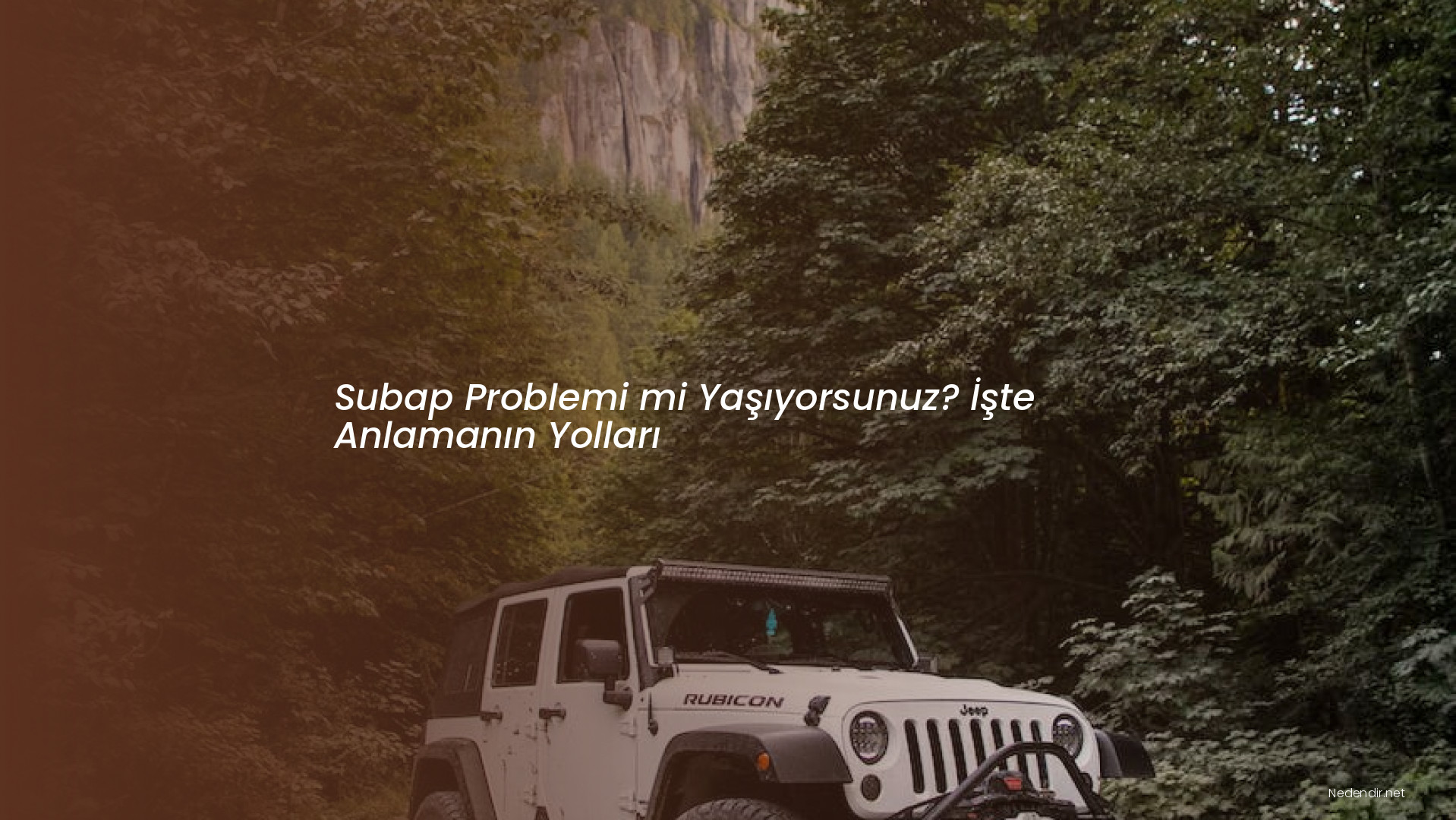 Subap Problemi mi Yaşıyorsunuz? İşte Anlamanın Yolları