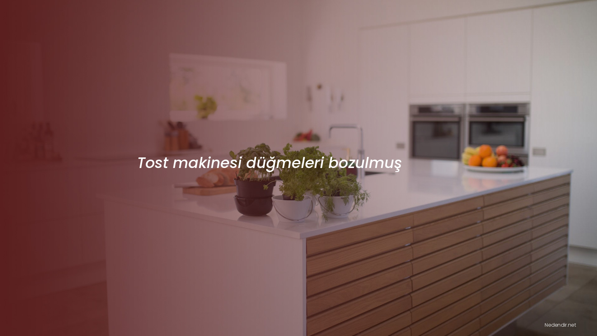 Tost makinesi düğmeleri bozulmuş