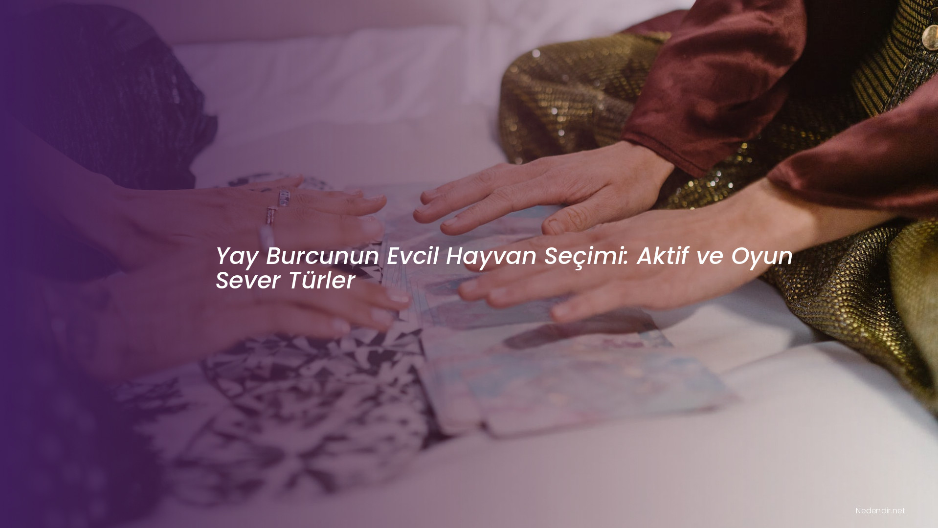Yay Burcunun Evcil Hayvan Seçimi: Aktif ve Oyun Sever Türler Yay Burcunun Evcil Hayvan Seçimi: Aktif ve Oyun Sever Türler