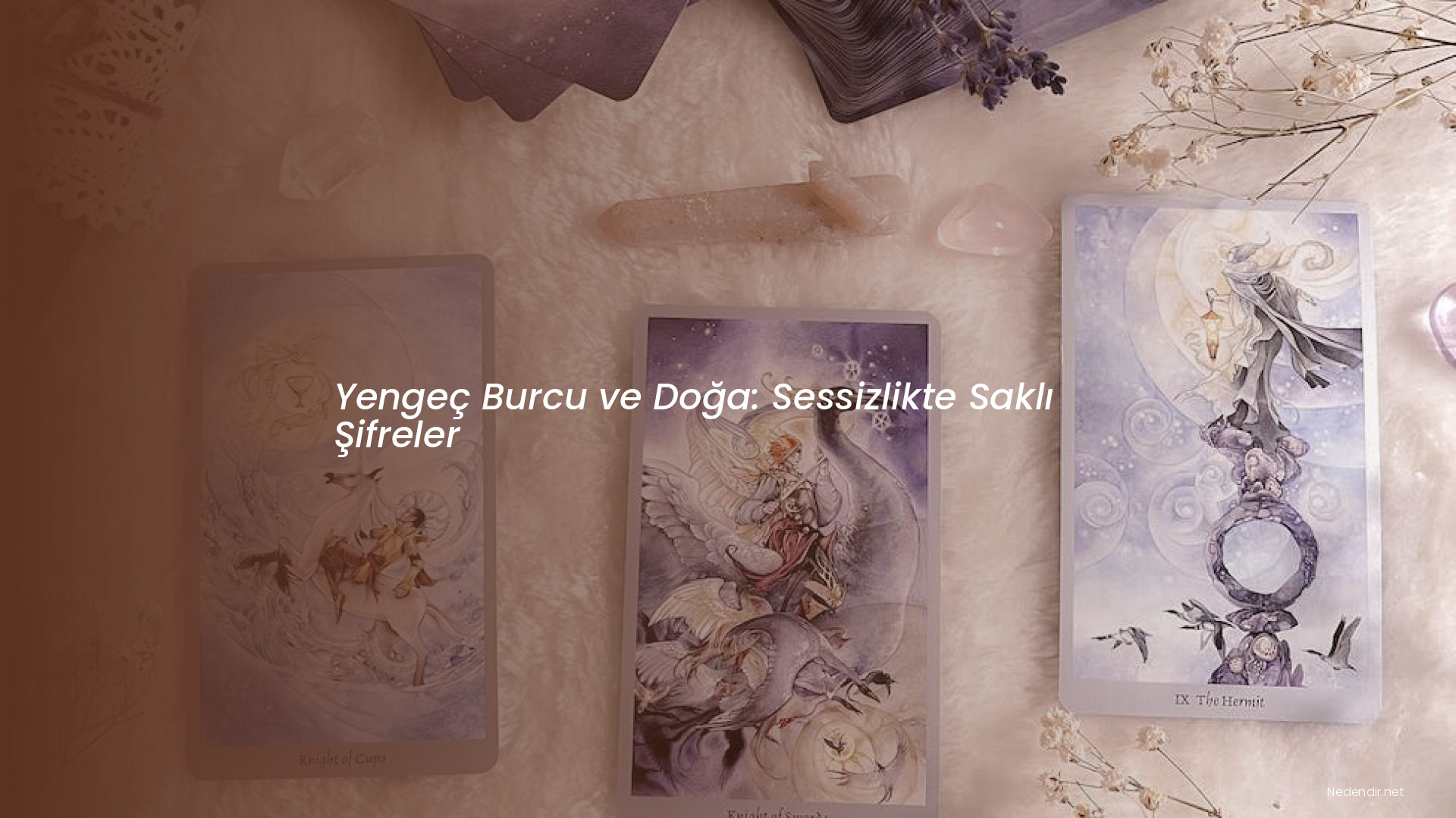 Yengeç Burcu ve Doğa: Sessizlikte Saklı Şifreler
