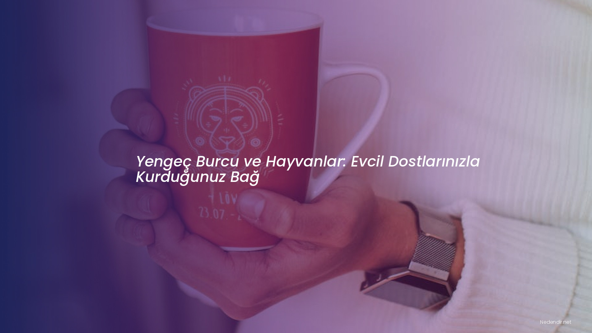 Yengeç Burcu ve Hayvanlar: Evcil Dostlarınızla Kurduğunuz Bağ
