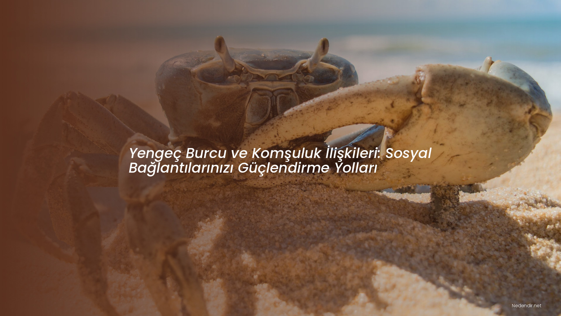 Yengeç Burcu ve Komşuluk İlişkileri: Sosyal Bağlantılarınızı Güçlendirme Yolları