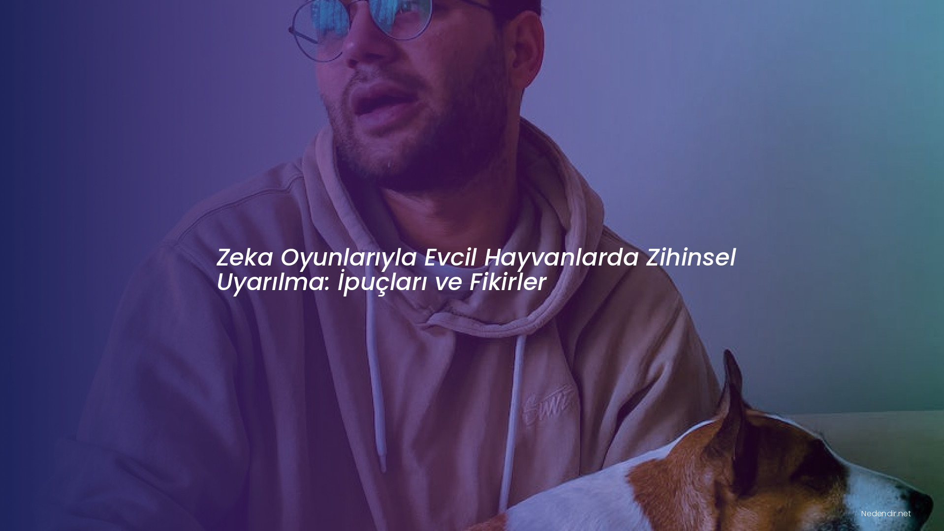 Zeka Oyunlarıyla Evcil Hayvanlarda Zihinsel Uyarılma: İpuçları ve Fikirler Zeka Oyunlarıyla Evcil Hayvanlarda Zihinsel Uyarılma: İpuçları ve Fikirler
